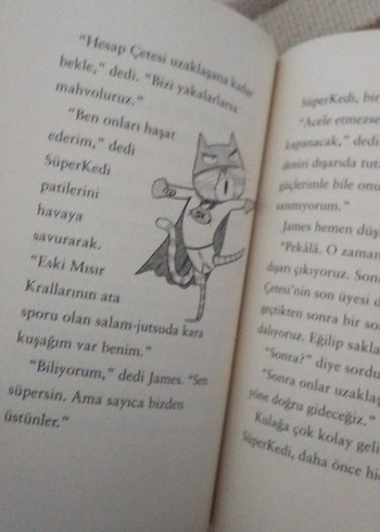 Beden Süperkedi Belalı Korsana Karşı - Jeanne Willis