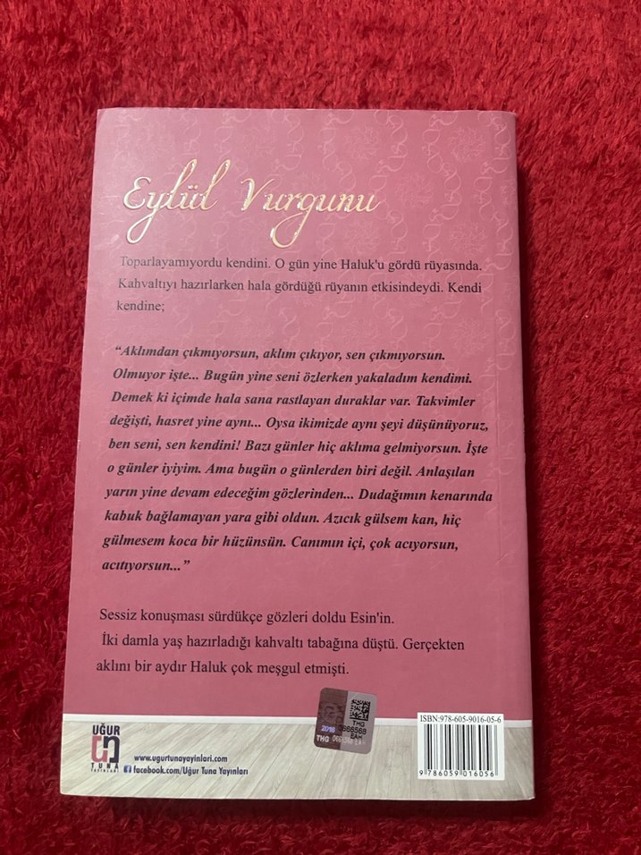 Eylül Vurgunu - Safiye Çetinkaya - Görsel 2