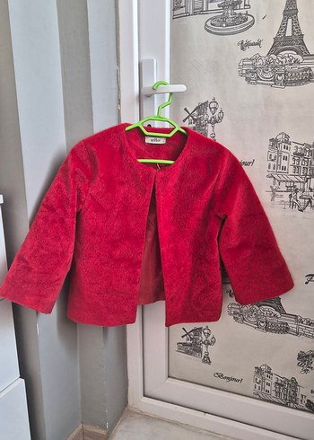 Diğer Standart Beden