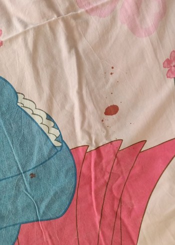 Çiçek ve Prenses Desenli Çocuk Nevresim Takımı - Görsel 5