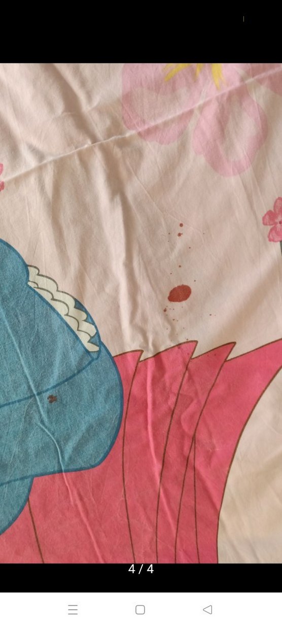 Çiçek ve Prenses Desenli Çocuk Nevresim Takımı - Görsel 5