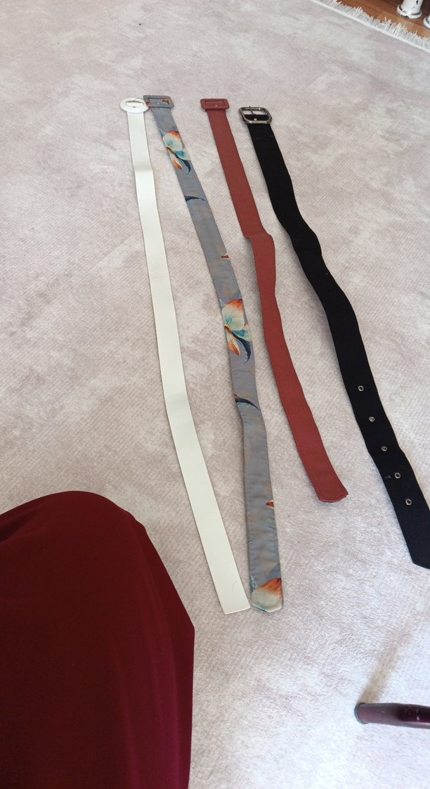 Kadın Çok Renkli Tokalı Kemer Seti - Görsel 2