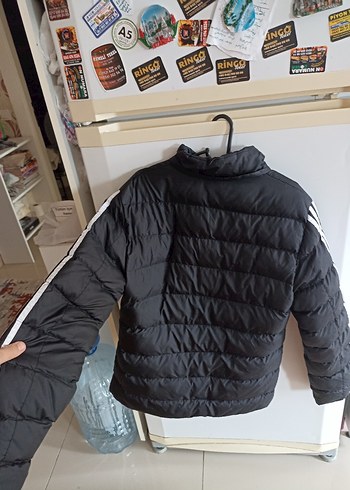 Erkek Siyah Adidas Kapitone Mont - Görsel 3