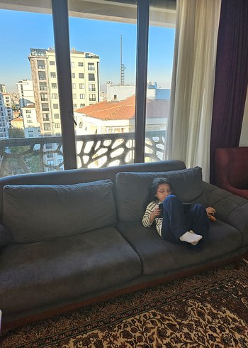 Gri Modern Klasik koltuk takımı 2 adet - Görsel 4