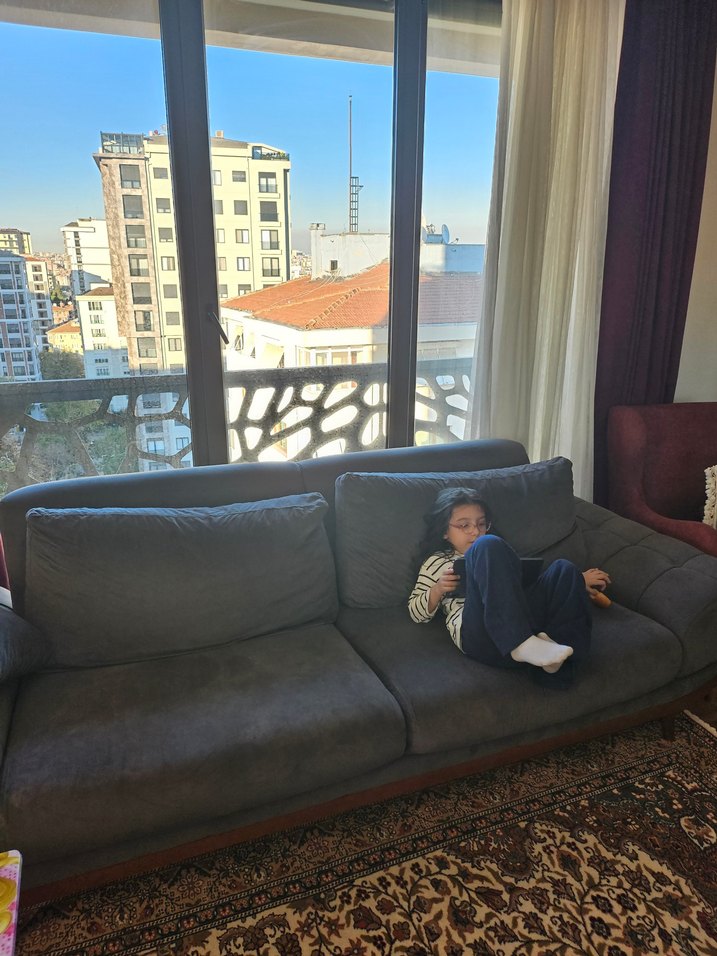 Gri Modern Klasik koltuk takımı 2 adet - Görsel 4