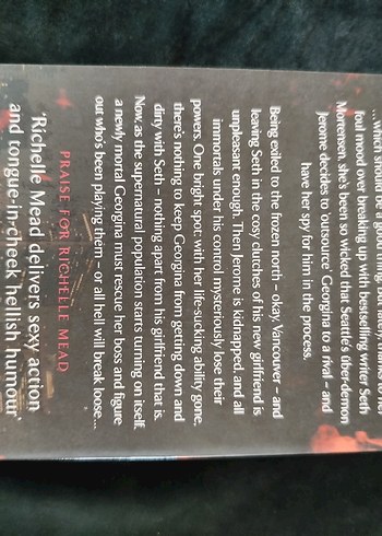 Succubus Heat - Richelle Mead ingilizce - Görsel 2