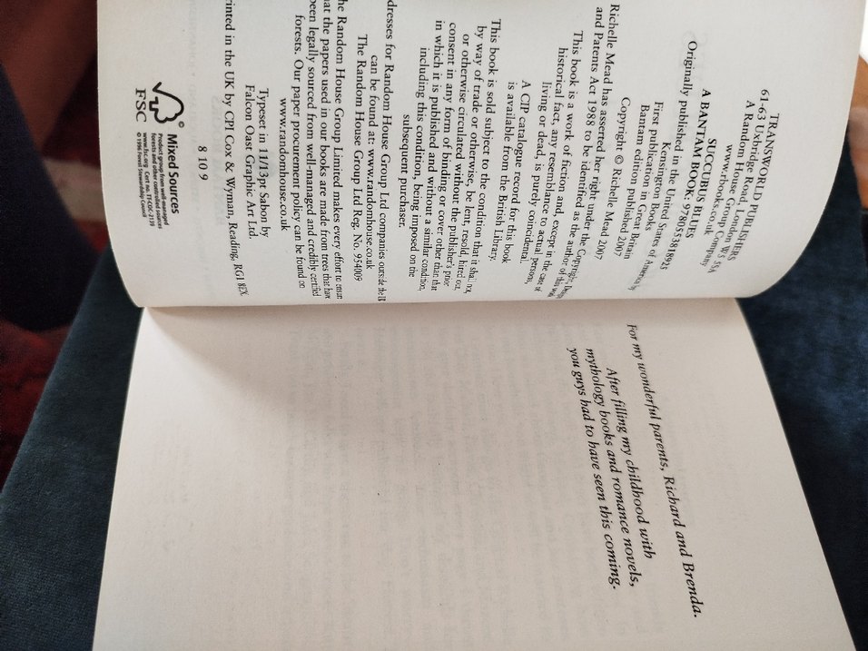 Succubus Blues - Richelle Mead ingilizce - Görsel 4