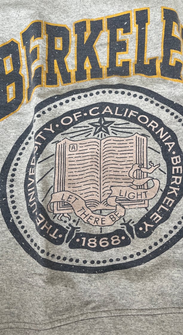 Gri Kadın Baskılı Uzun Kollu Sweatshirt - Görsel 3