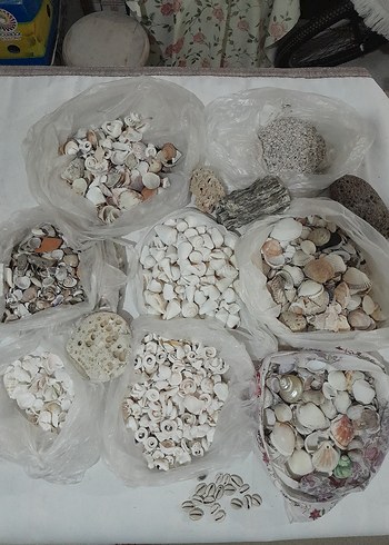 Bohem Deniz Kabukları Seti