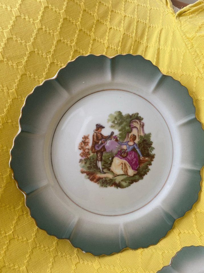 Pastel Yeşil Desenli Porselen Tabak Seti - Görsel 3