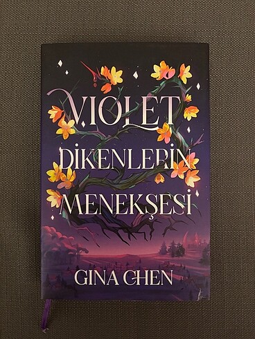 Ciltli kitap