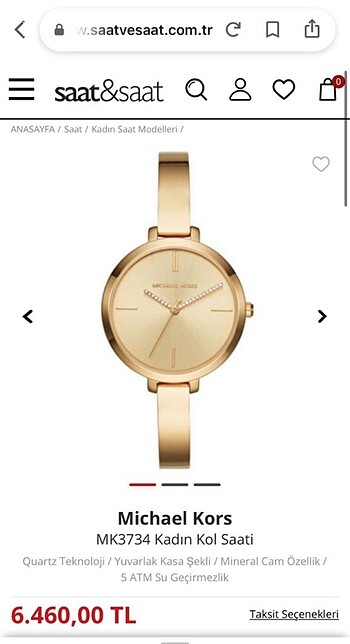 Michael Kors saat