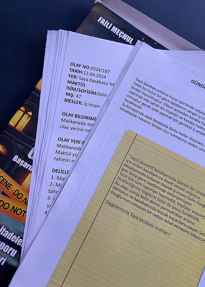 Gündüzü olmayan gece - Görsel 3