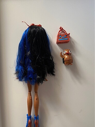 Beden monster high robecca steam basic