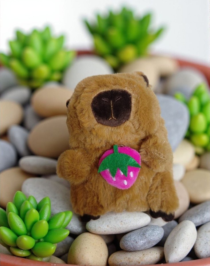 capybara peluş oyuncak - Görsel 2