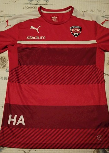 Puma forma