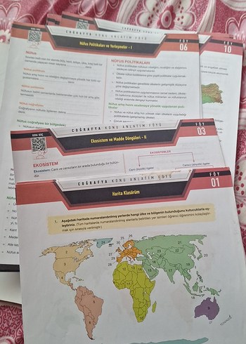Ekosistem ve Madde Döngüleri Sınav Hazırlık Föyleri