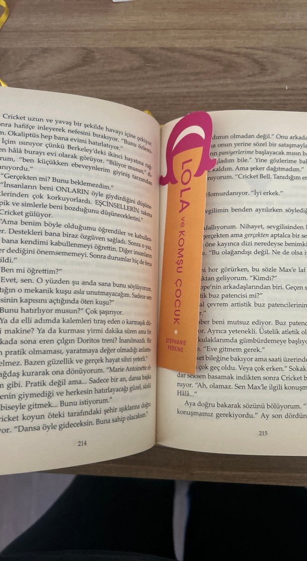 Lola ve Komşu Çocuk - Stephanie Perkins - Görsel 2