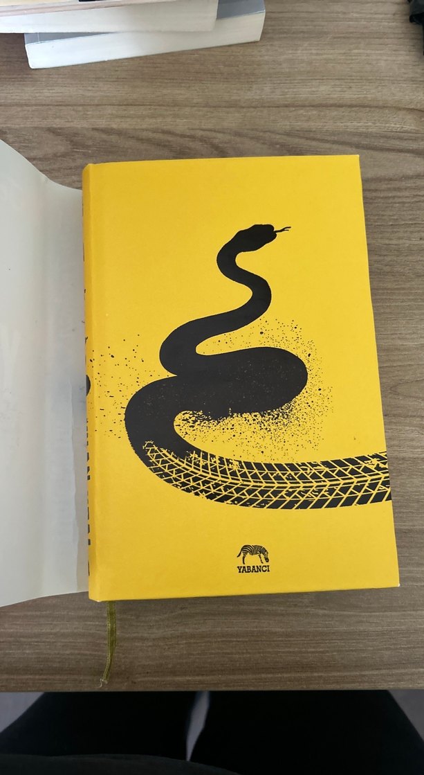 Yılan Kral - Jeff Zentner - Görsel 2