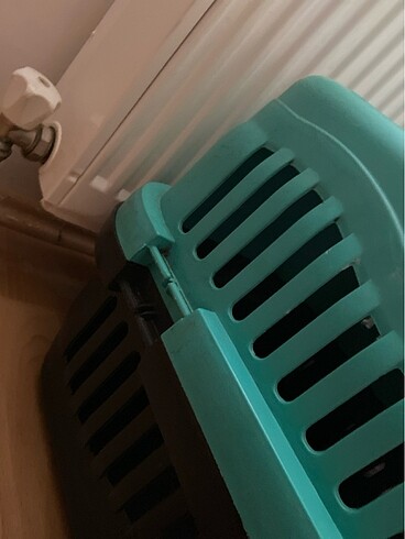 Kedi box