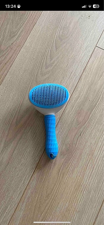 Mavi kedi tarağı - Görsel 3