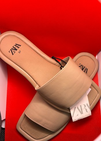 zara 37