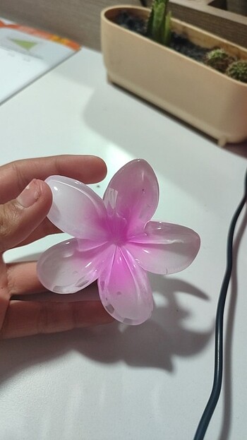 Lotus toka pembe