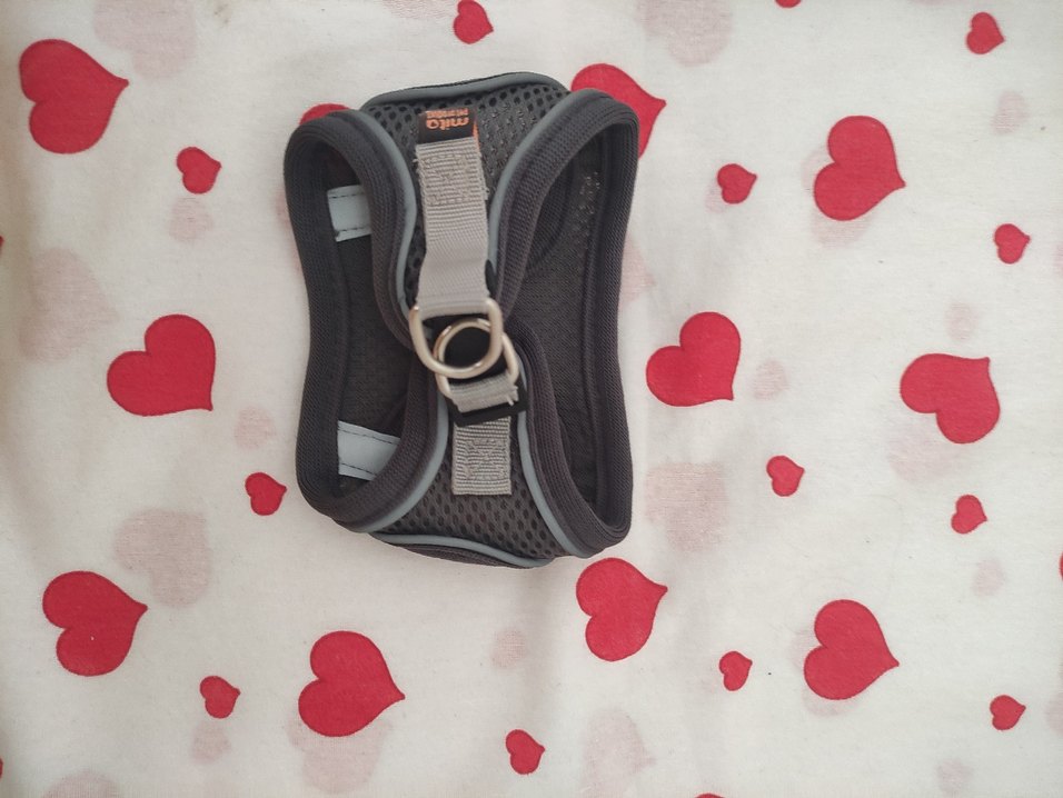 Gri Nefes Alabilir Kedi-Köpek Göğüs Tasması - Görsel 2