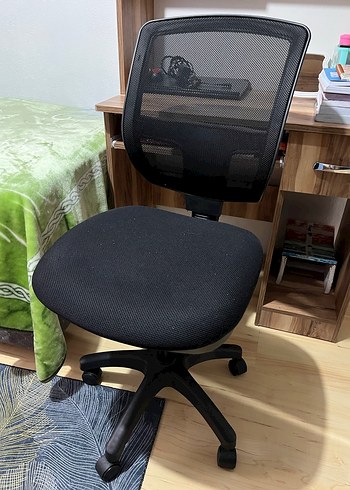  Beden Klasik Standart Ofis Sandalyesi