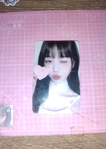 Diğer potocard