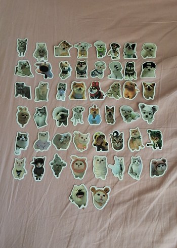 kedi-köpek sticer KOMİSYONLU FİYAT