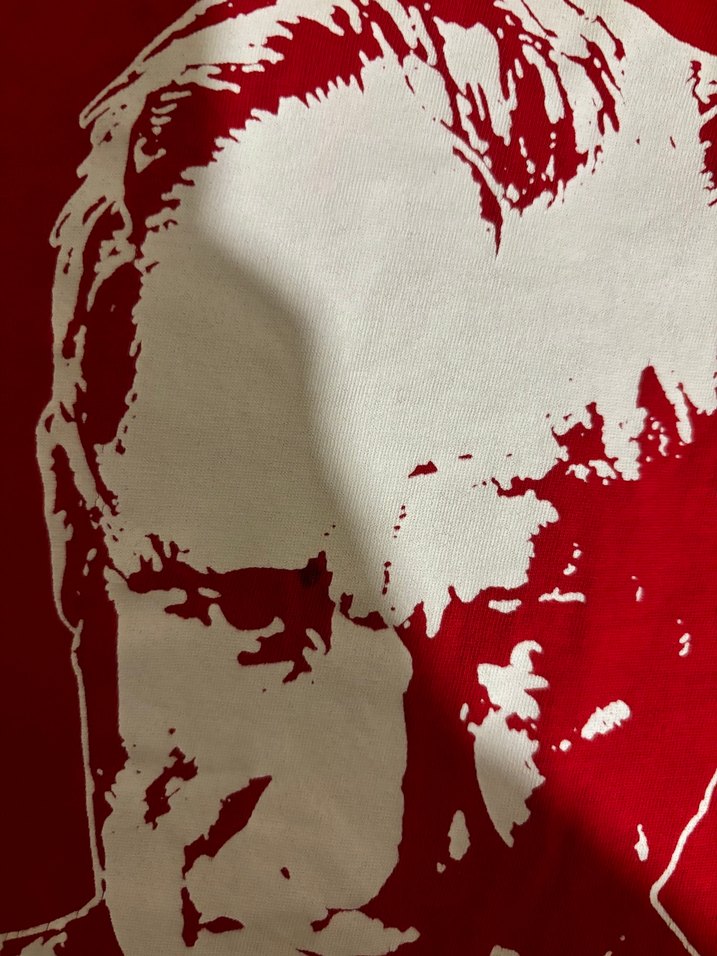 Erkek Çocuk Kırmızı Baskılı Kısa Kollu Tişört - Görsel 2