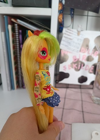  Beden Renk pony bebek