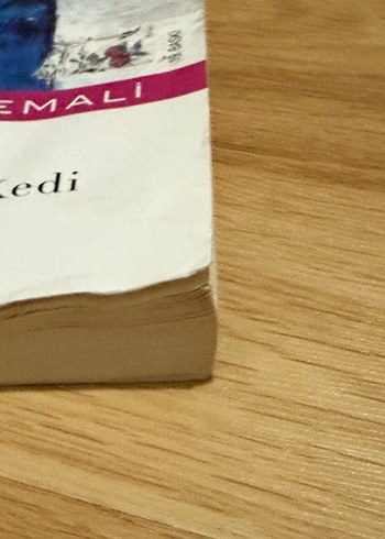  Öykü Öykü Gezen Kedi - Zeynep Cemali