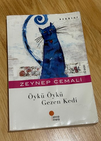 Öykü Öykü Gezen Kedi - Zeynep Cemali