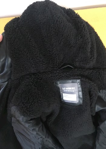 Erkek siyah kaban - Görsel 6