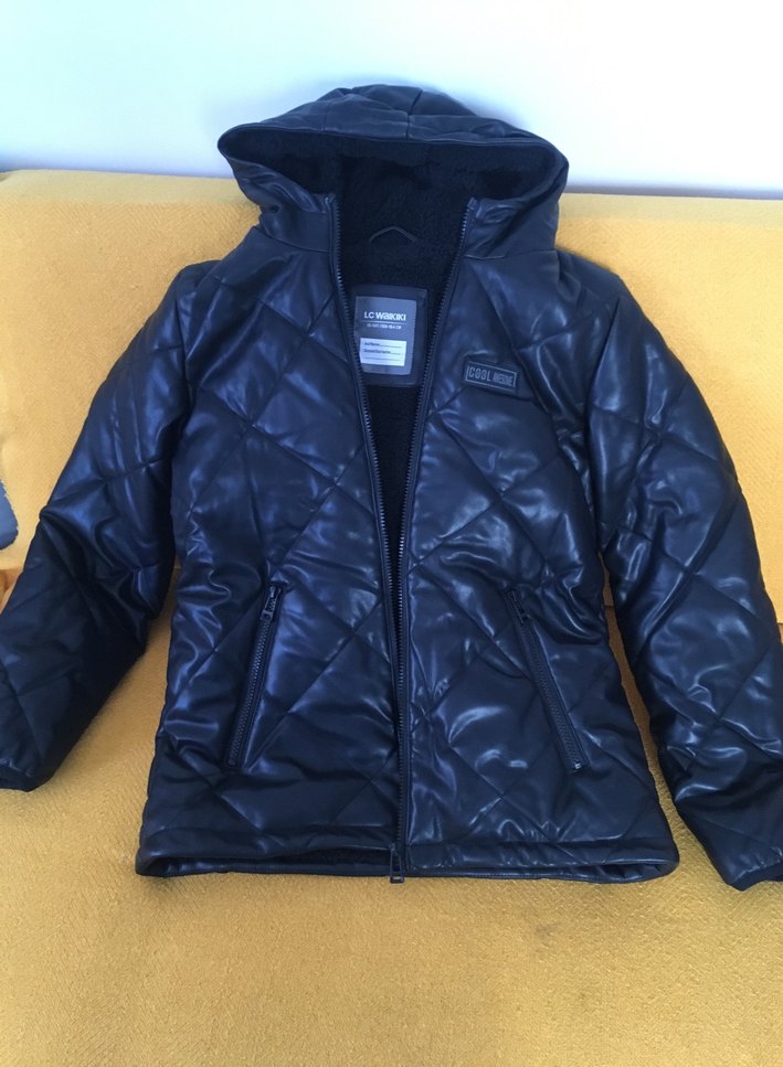 Erkek siyah kaban - Görsel 2