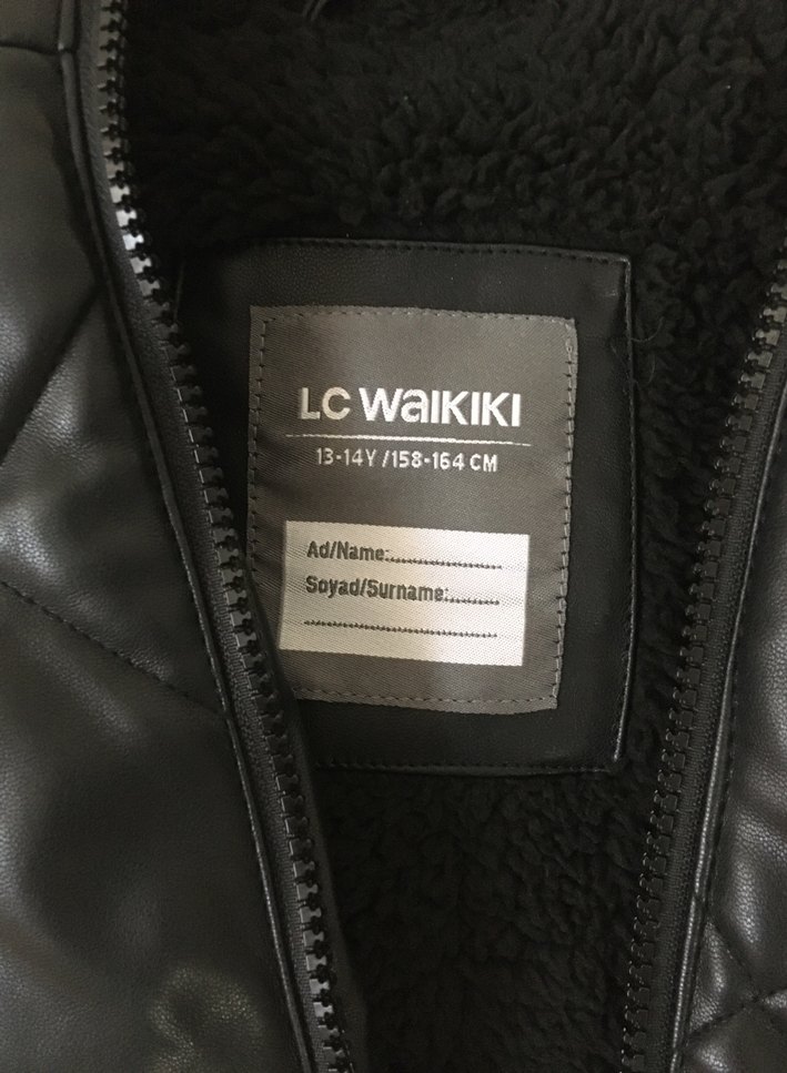 Erkek siyah kaban - Görsel 3