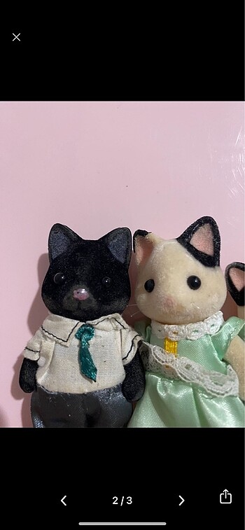 Slyvanian tuxedo cat family
