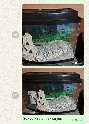 Akvaryum