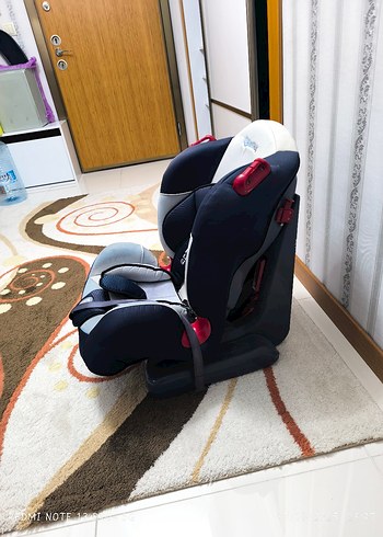 Diğer Gri Çocuk Oto Koltuğu