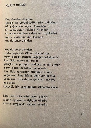  Beden Renk Geceleyin Bir Koşu