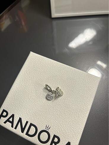 Pandora pandora charm