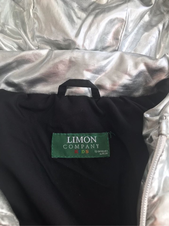 Kadın Gri Metalik Kapüşonlu Kış Montu - Görsel 2