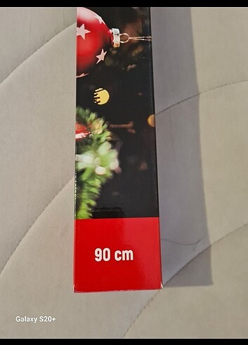 Çam ağacı  - Görsel 2