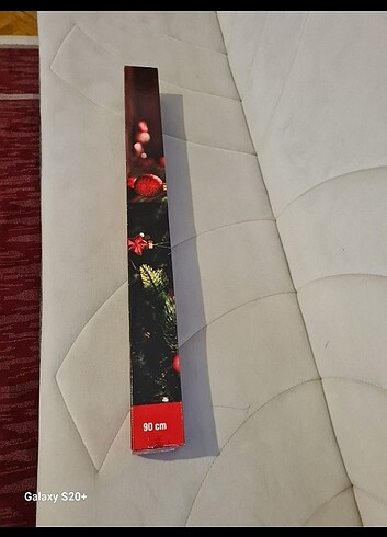 Çam ağacı  - Görsel 3