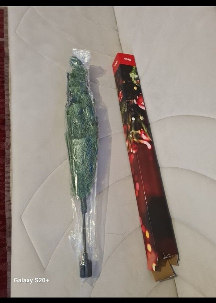 Çam ağacı  - Görsel 4