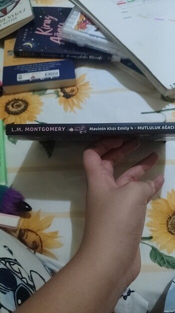 Mavi'nin kızı Emily okuma kitabı - Görsel 2