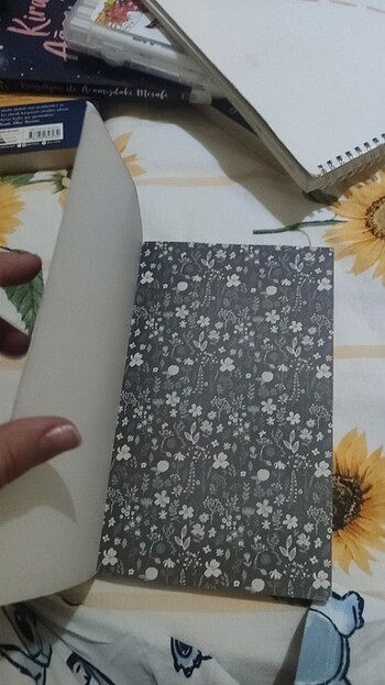 Mavi'nin kızı Emily okuma kitabı - Görsel 4