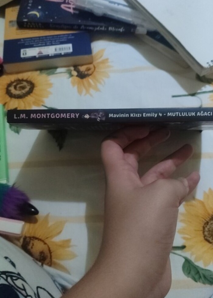 Mavi'nin kızı Emily okuma kitabı - Görsel 2